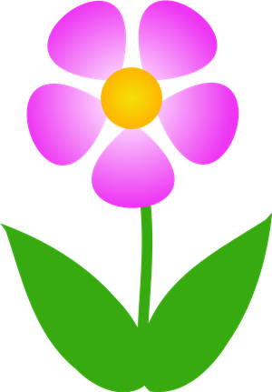 Spring Flower 