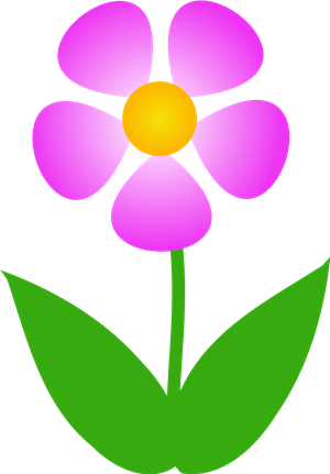 Spring Flower Spring Flower
